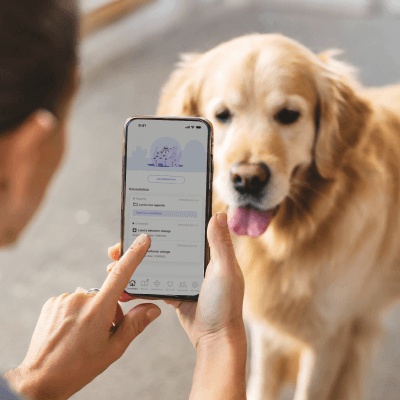 Dog shown with owner using Pawssistant on phone